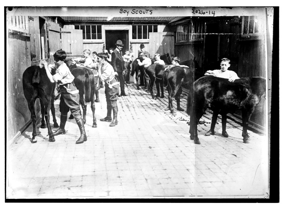 Boy Scouts. Grooming their horses. LCCN2014688142
