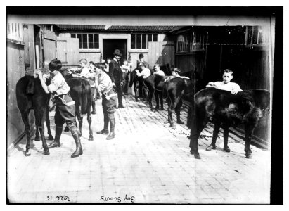 Boy Scouts. Grooming their horses. Same shot as LC-B2-2026-14 LCCN2014688143