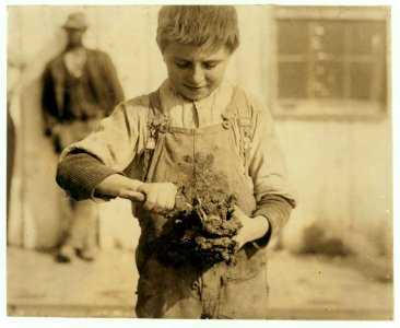 Boy shucker. Varn & Platt Canning Co. LOC nclc.01022 photo