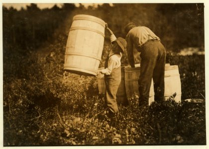 Boy who carries barrels. Robert Saunders, 10 years old. Lives Waquoit - is the sone (i.e., son) of the boss. Mother picks too. LOC nclc.00126
