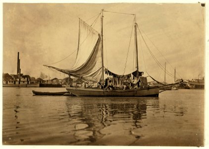 Boy shucking oysters, he helped to catch. A few young boys are employed on the oyster boats and to shuck them but times are slack now. Apalachicola, Fla. Witness, Sara R. Hine. Jan. 25, LOC cph.3b03530
