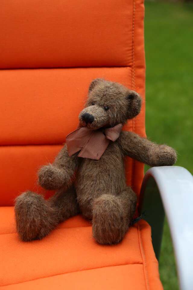 Cute toys teddy bear