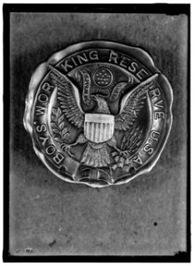 BOYS WORKING RESERVE, U.S.A. BADGE LCCN2016868010
