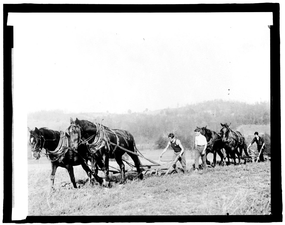 Boys working Reserve LCCN2016826244