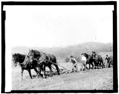 Boys working Reserve LCCN2016826244