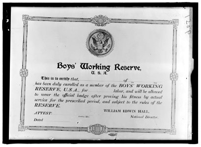 BOYS WORKING RESERVE, U.S.A. (CERTIFICATE) LCCN2016868013