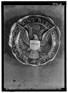 BOYS WORKING RESERVE, U.S.A. BADGE LCCN2016868011