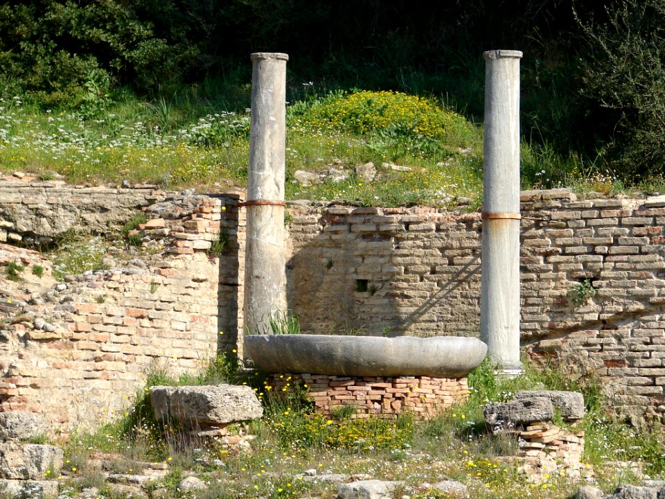 Braciere Olimpia Aprile 2006