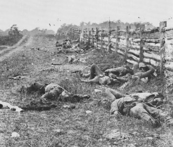 Brady, Mathew B. - Auf dem Antietam Schlachtfeld (Zeno Fotografie)