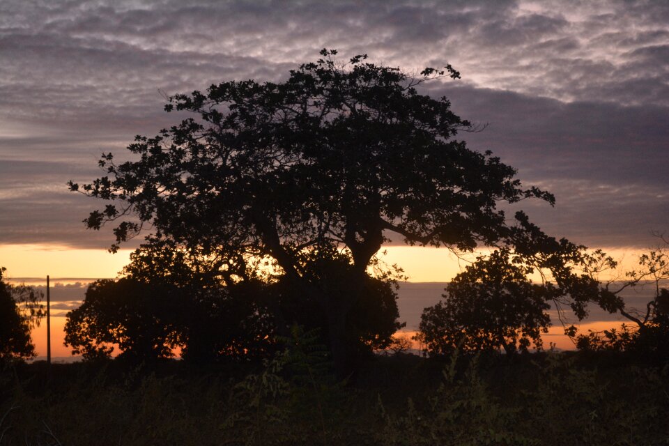 Environment landscape eventide