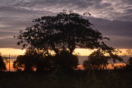 Environment landscape eventide