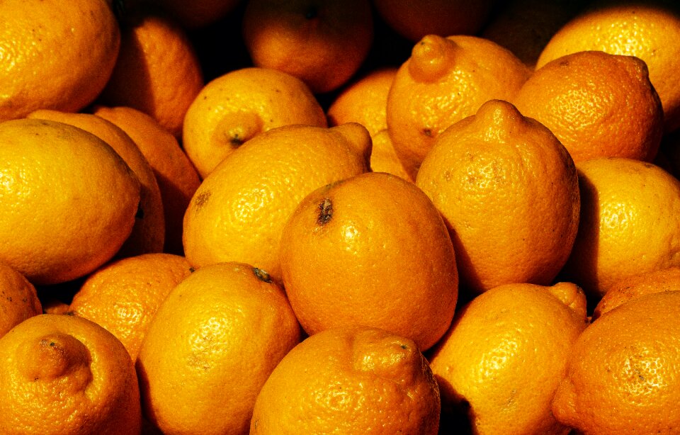 Citrus fruit tropical fruit