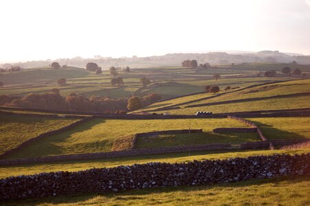 Field cropland nature