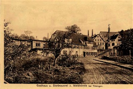 Brauerei Waldhörnle (AK 1900er)