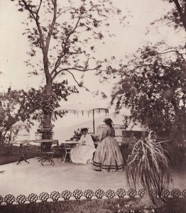 Braun, Adolphe - Der Garten (Zeno Fotografie) photo