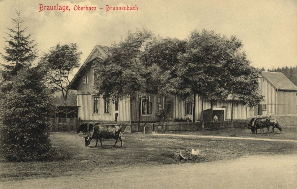 Braunlage, Niedersachsen - Oberharz, Brunnenbach (Zeno Ansichtskarten)