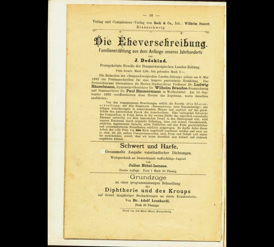 Braunschweigs Bau-Denkmäler I 16