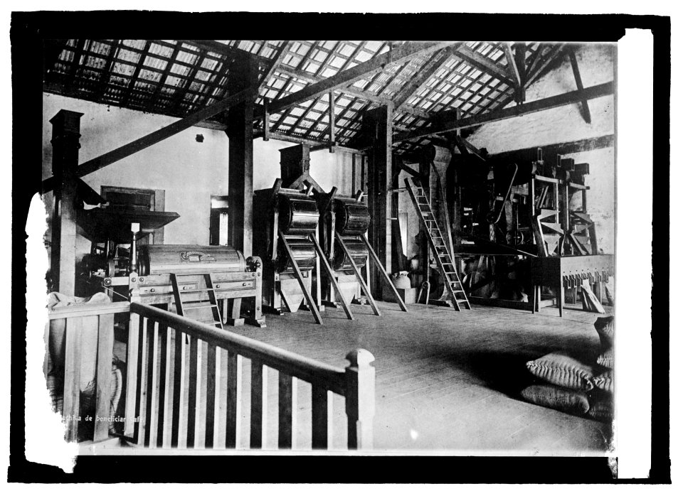 Brazil, a coffee warehouse in Santos LCCN2016821717