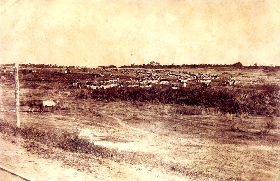 Brazilian army in Paraguay