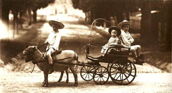 Brazilian Princes 1883