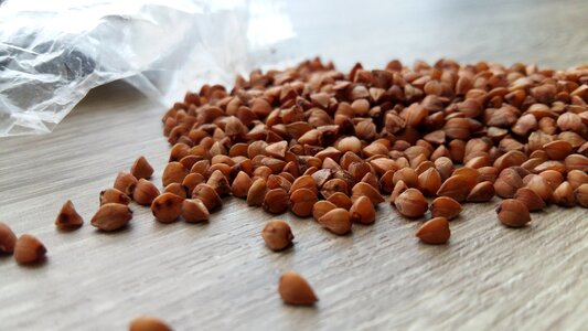 Vegetarian hrisca protein