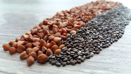 Vegetarian hrisca protein