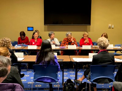 Brenda Lawrence speaking at Democratic Women's Caucus EOY briefing 2019