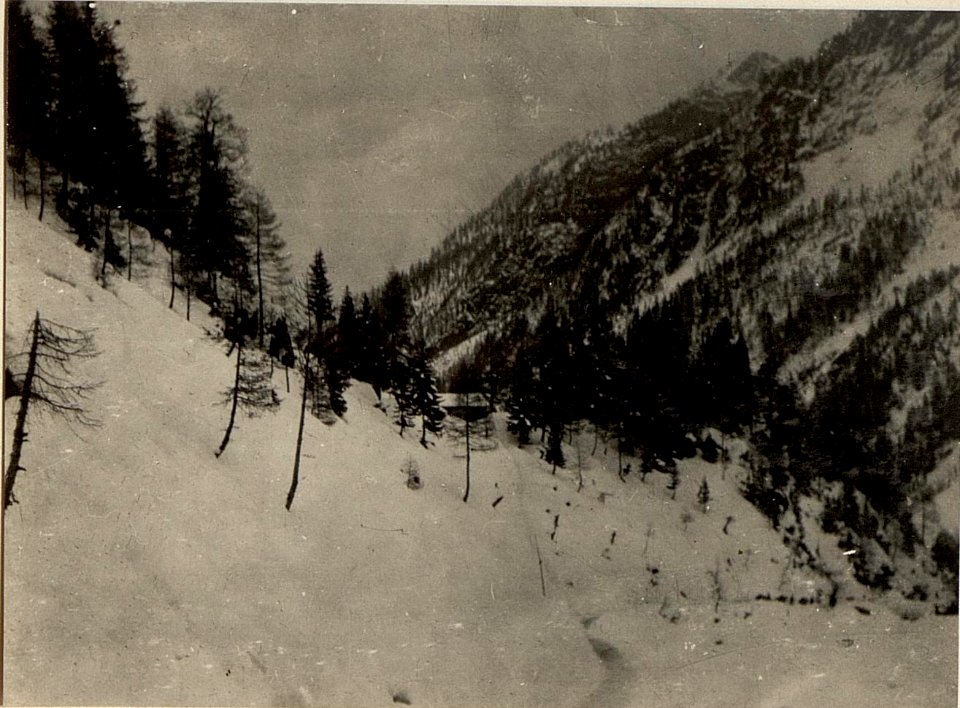 Brennerhütte, Blick auf den Hilfsplatz. (BildID 15471786)