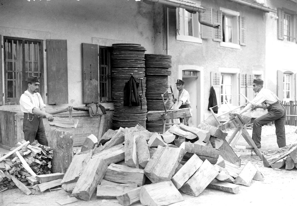 Brennholzverarbeitung - CH-BAR - 3238493