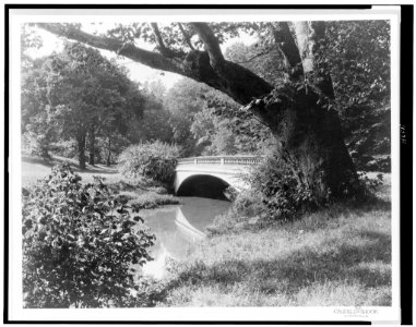 Bridge -5, Cherokee Park, Louisville, Kentucky LCCN95506994