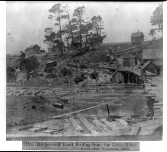 Bridge and Road leading from the Little River Lumber Mills, Mendocino County LCCN2002719830