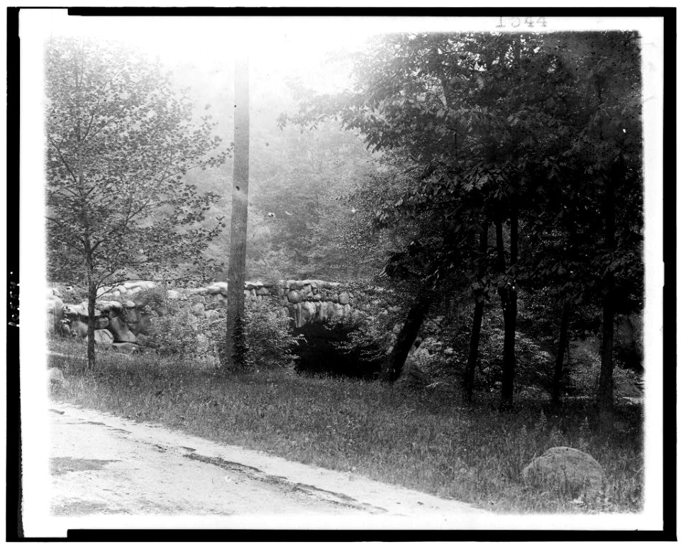 Bridge in Rock Creek Park, Washington, D.C. LCCN92513197