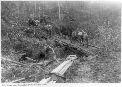 Bridge over Porcupine Creek, Skaguay Trail LCCN96518283