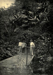 Bridge over a rivulet, Tahiti, by Clement Lindley Wragge