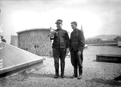 Brieftaube bereit zum Abfliegen - CH-BAR - 3238326