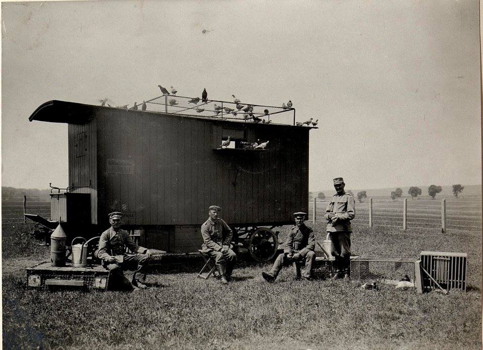 Brieftaubenstation (BildID 15529255)