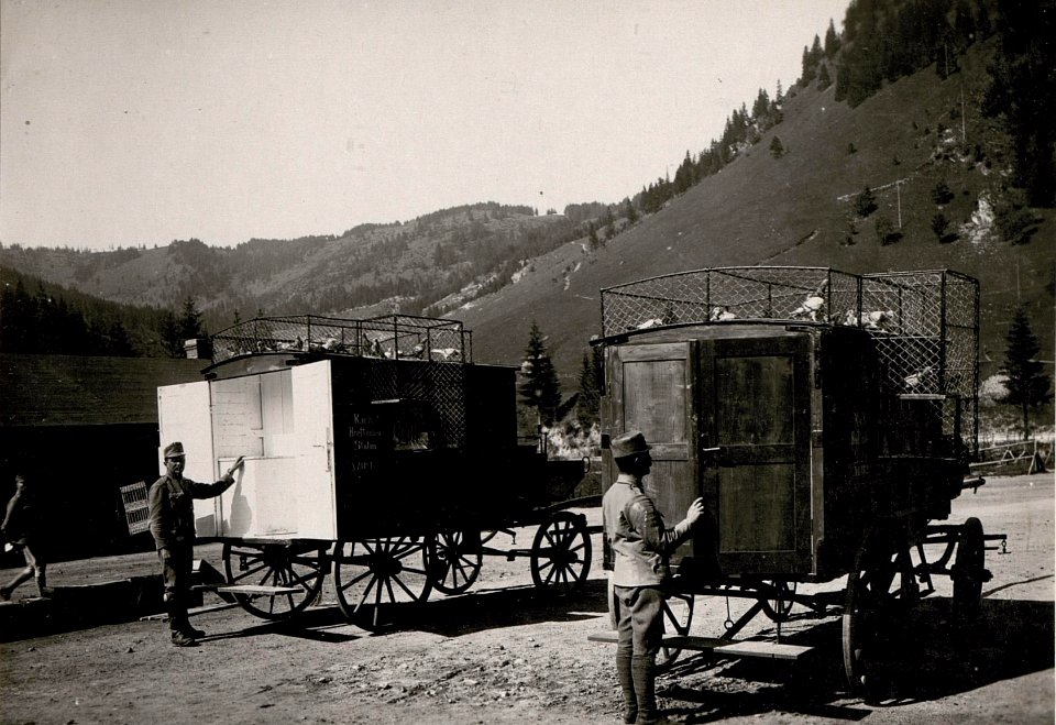 Brieftaubenstation (BildID 15720051)