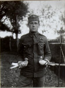 Brieftauben vom II.Bataillon Infanterieregiment No.1. (BildID 15654505)