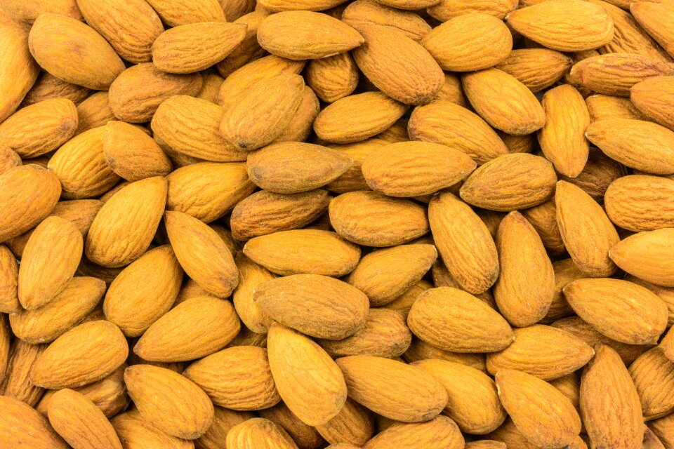 Eating nutritionist seeds