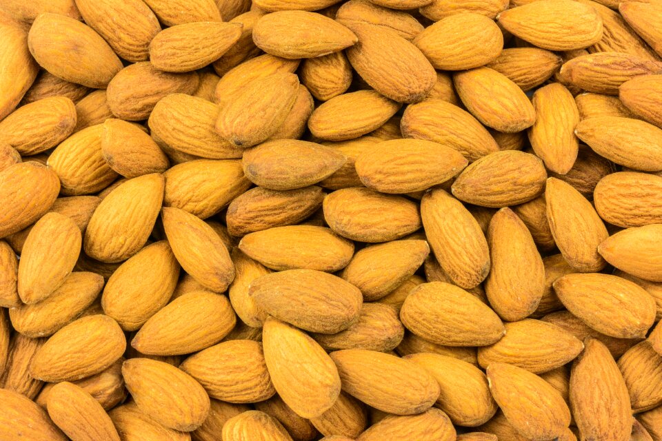 Eating nutritionist seeds photo