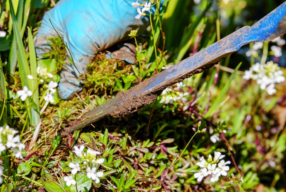 Pluck ornamental garden garden tool