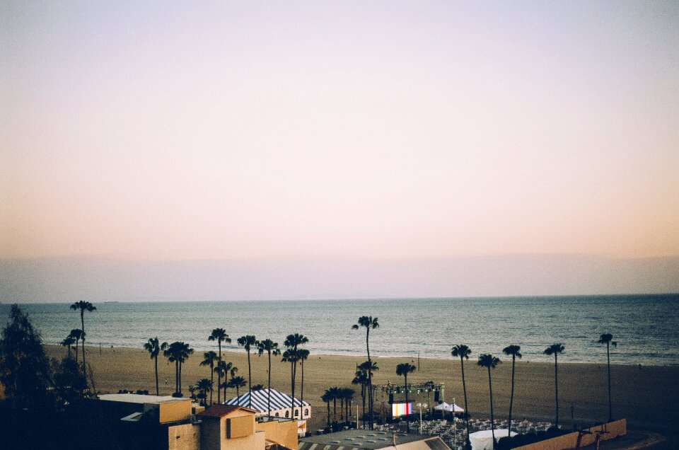 Palm trees water ocean
