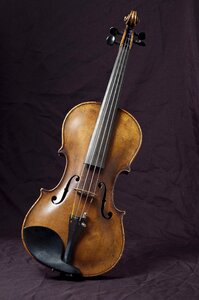 Instrument bowed stringed instrument orchestra