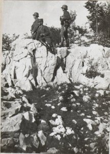 Brigadier Beobachtung am Bainsizzaplateau 25.9.17. (BildID 15605613)