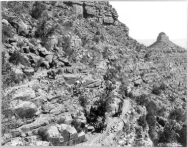 Bright Angel Trail, on the zig-zags, (Grand Canyon), Arizona LCCN2004670744 photo