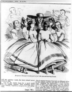 Brigham Young's investment in the 7.30 interest-bearing bonds LCCN2004670879