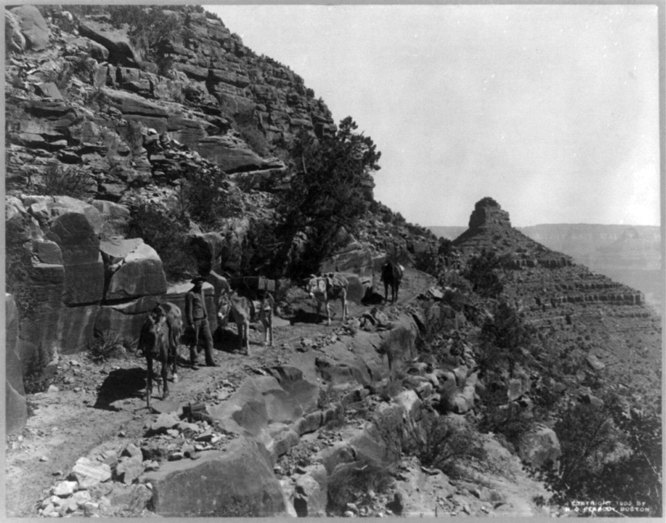 Bright Angel Trail, Cape Horn, Arizona LCCN2002714852
