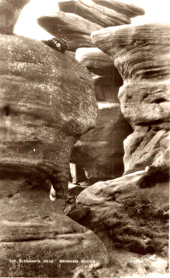 Brimham Rocks - vintage postcard (31)