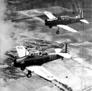 British Flight Training School No 1 - BT-14 and BT-13 Two-Ship formation