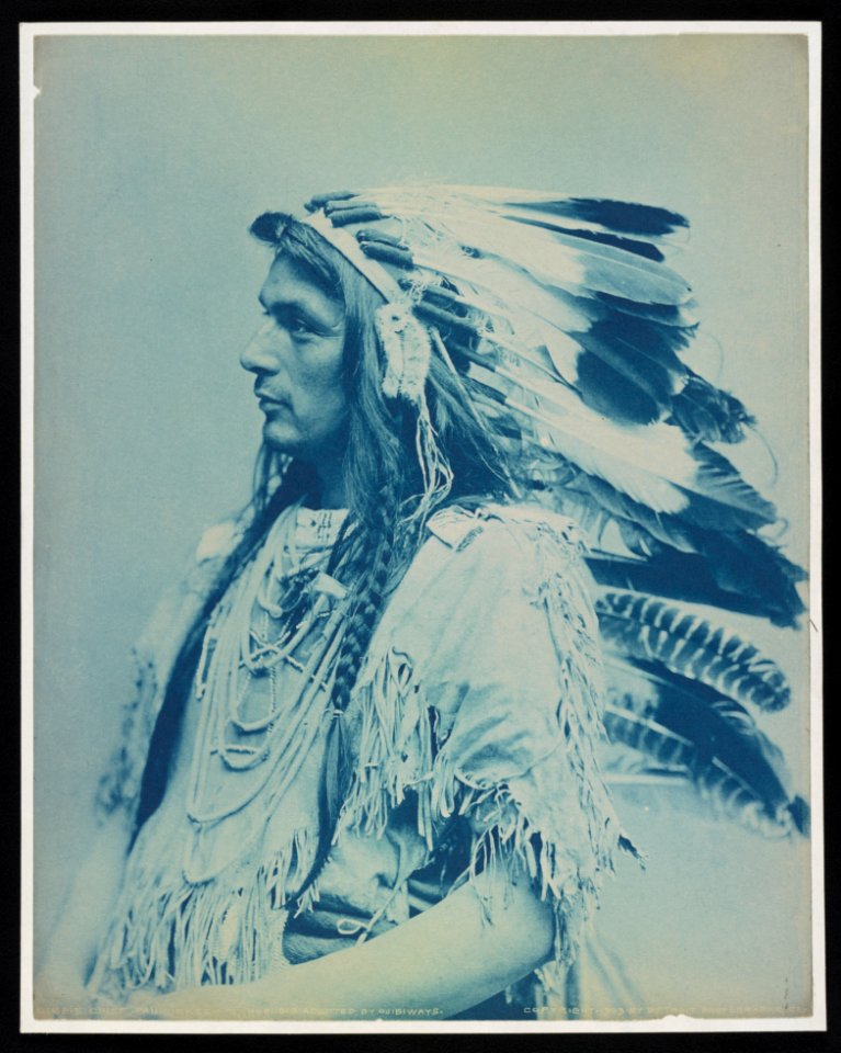 Chief Paupukkeewis, Iroquois adopted by Ouibiways LOC ds.10827